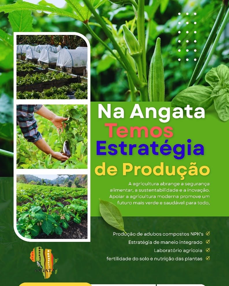 Banner de Angata Lda