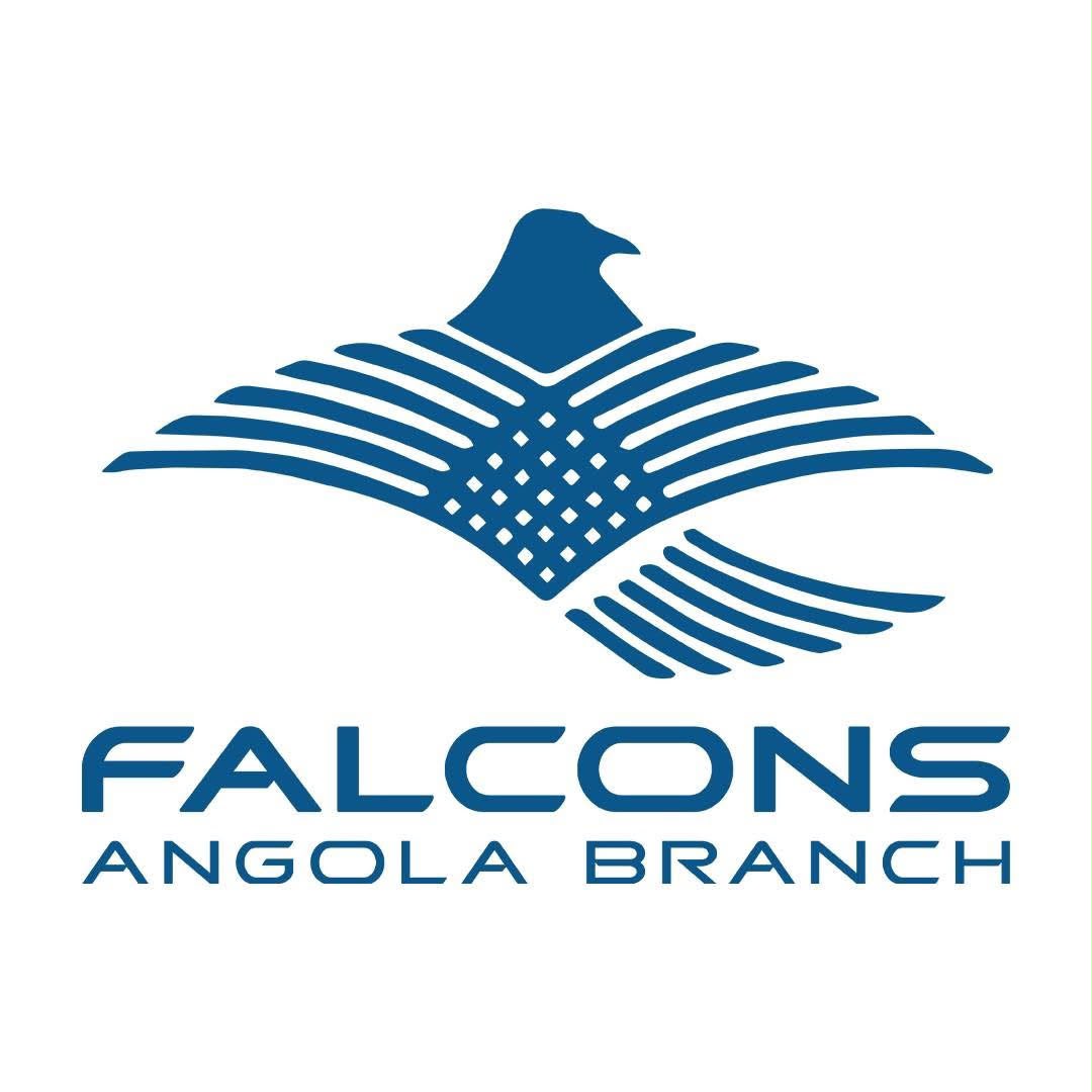 Logo de Falcons GT Motors Lda.