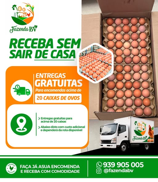 🥚 Ovos frescos entregues até si. 🚚