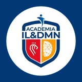 Logo de Academia IL&DMN