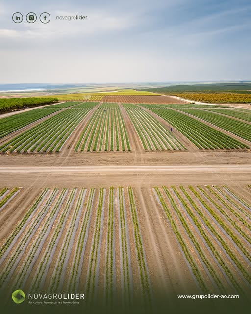 DO CAMPO PARA O FUTURO!