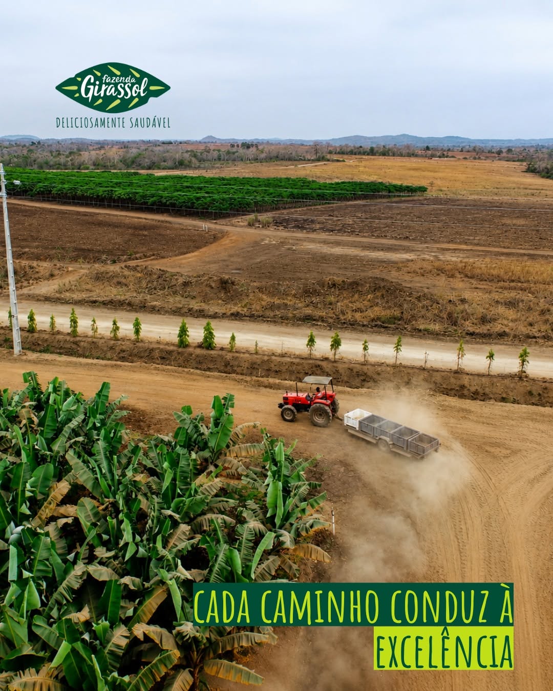 galeria