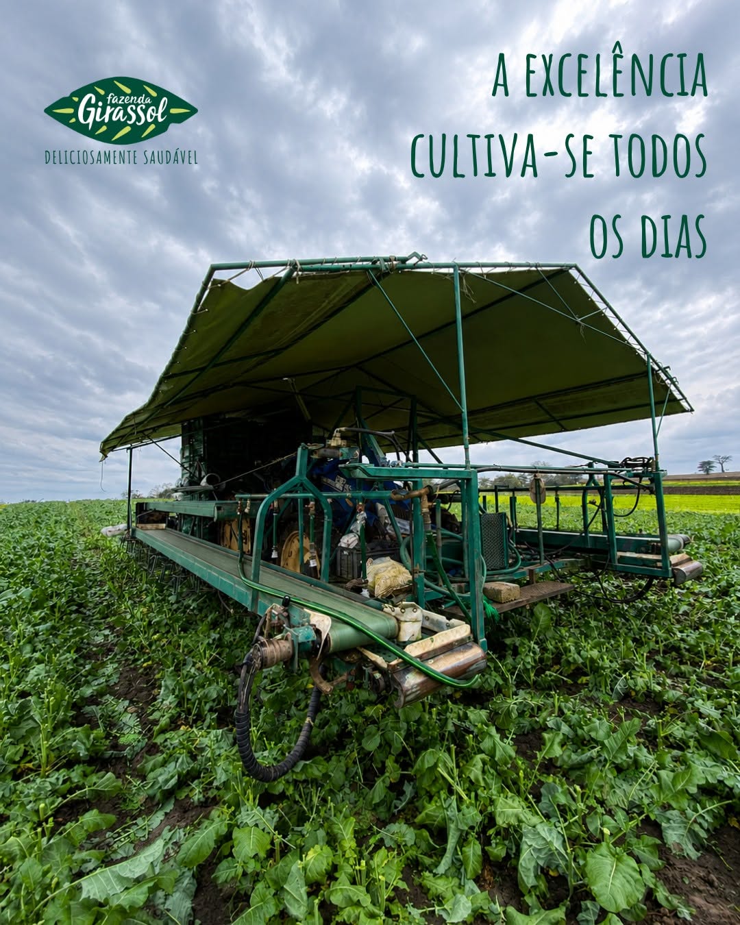 galeria