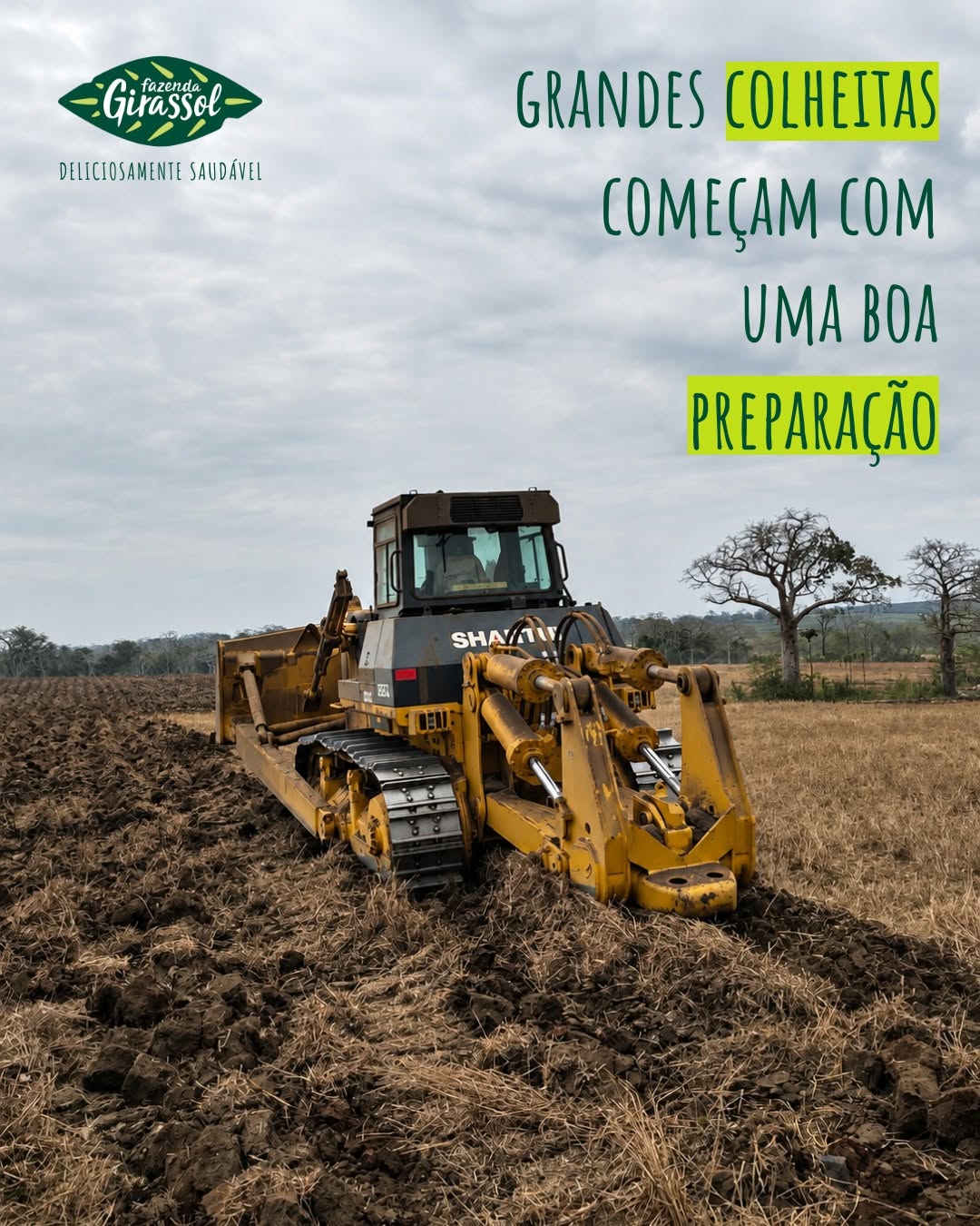 A qualidade começa no campo.