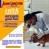 Banner de ARCAM GOLD FISH