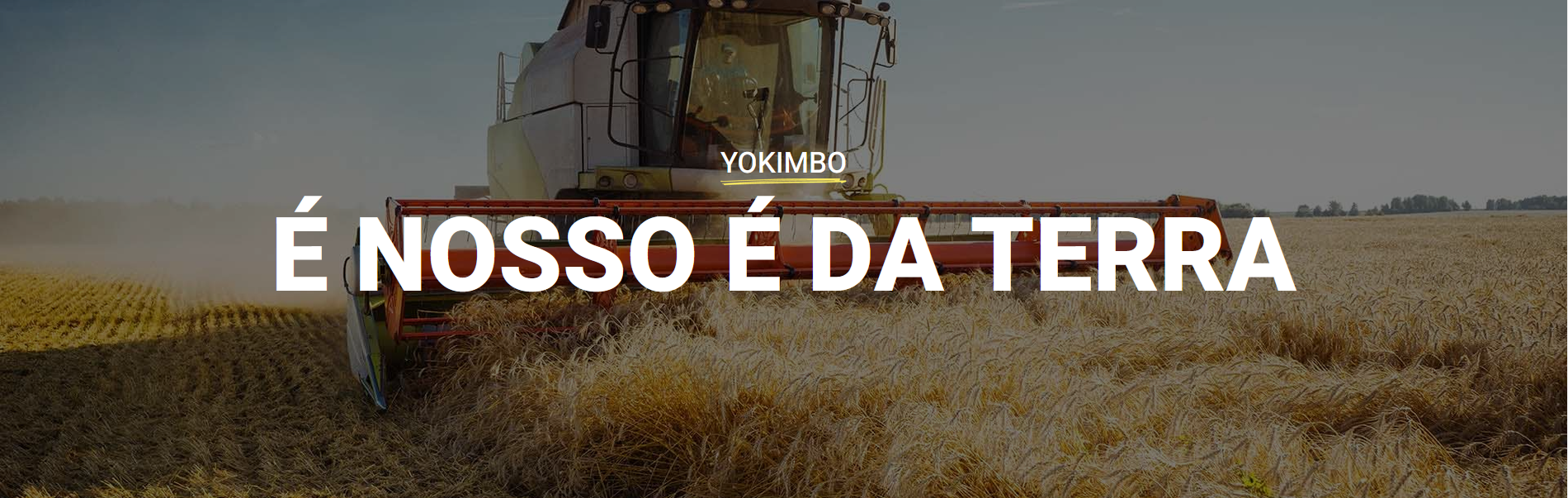 Banner de YOKIMBO
