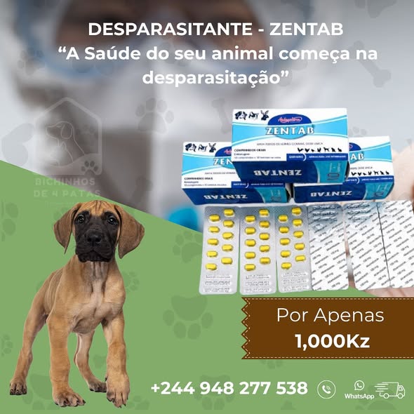 🐶 𝗣𝗥𝗢𝗠𝗢ÇÃ𝗢 𝗣𝗔𝗥𝗔 𝗢 𝗦𝗘𝗨 𝗣𝗘𝗧 🐶