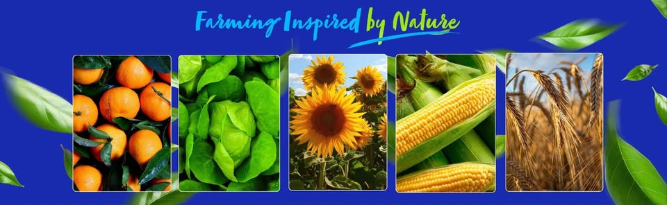 Banner de Timac AGRO South Africa