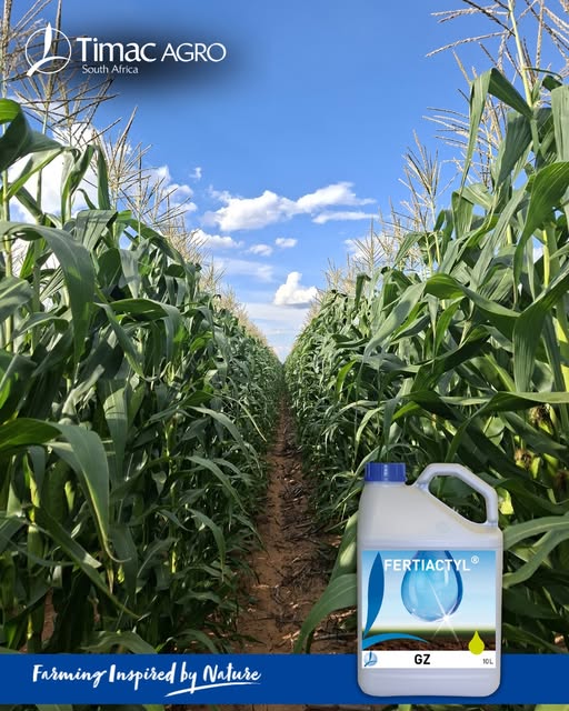Healthy roots. Healthy plants. Outstanding soybeans. 🌱🔥