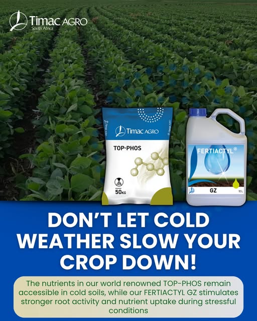 🚨 800kg/ha difference. Let that sink in.